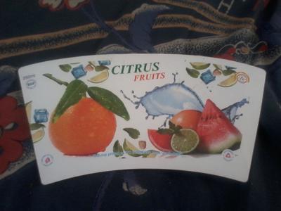  of Citrus Fruits Cup